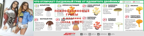 ПСИЛОЦИБИНОВЫЕ ГРИБЫ Белокуриха